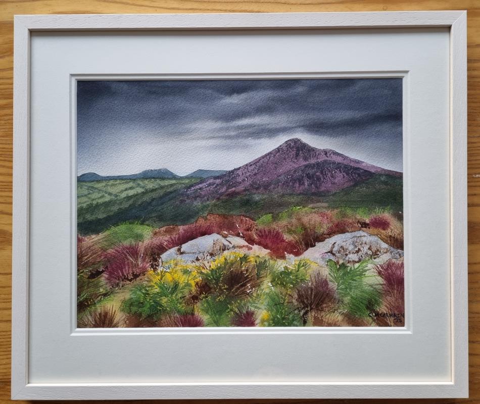 Carrigoona to Great Sugar Loaf